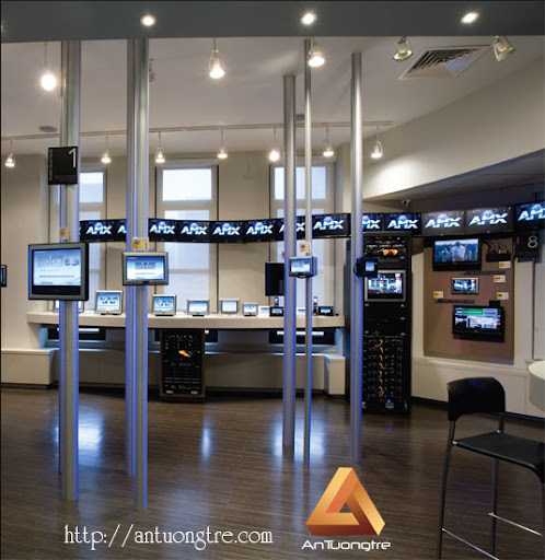Thiết kế showroom Thiết kế showroom