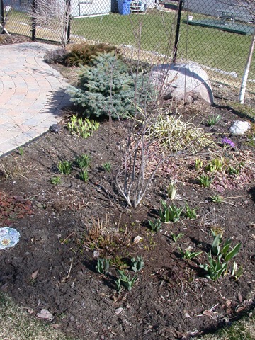 [DSCN03584.jpg]
