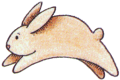 [rabbit[2].gif]