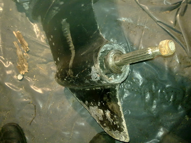 31012010274.jpg