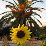 2010-07-17 Kreta 018.JPG