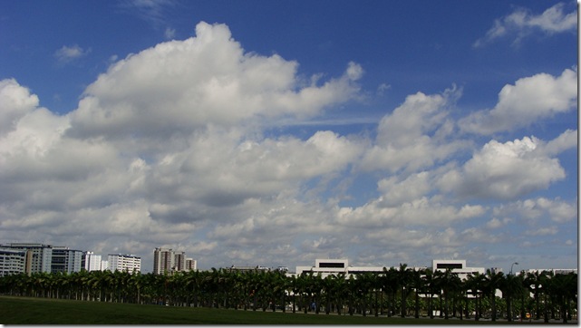 DSC01381