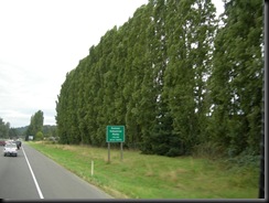 DSCN5172