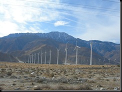 DSCN6019