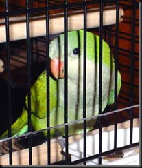 clip_image002