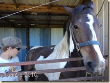 May 2010 029