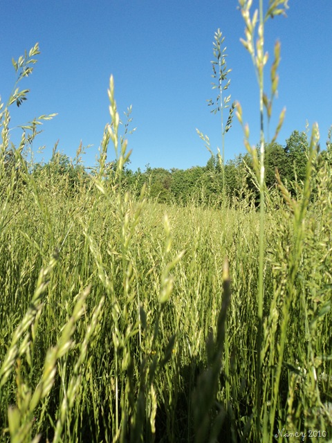 [May20100515.jpg]