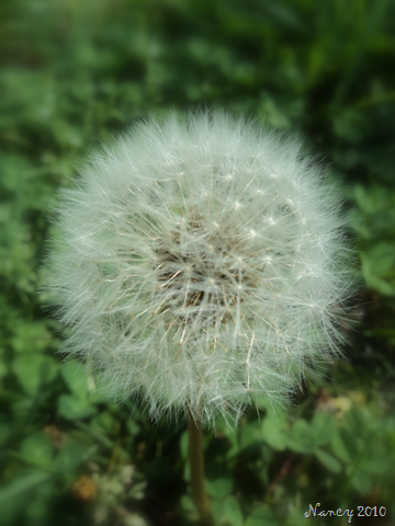 [image5.png]