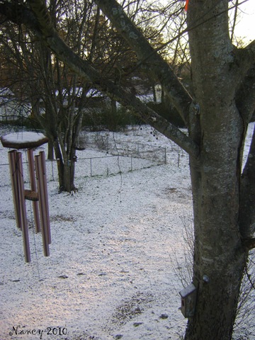 [snow[3].jpg]