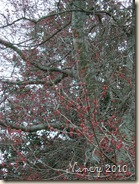 March 2010 006