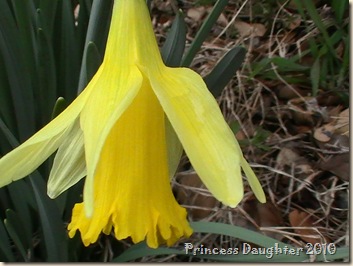 March 2010 012