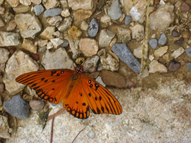 [September20091194.jpg]