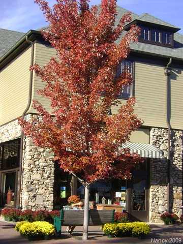 [October 2009 008[1].jpg]