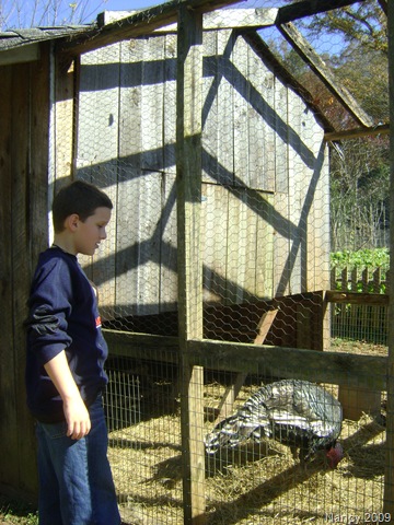 [November20090224.jpg]