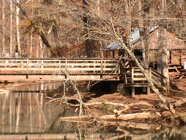 [November200919513.jpg]