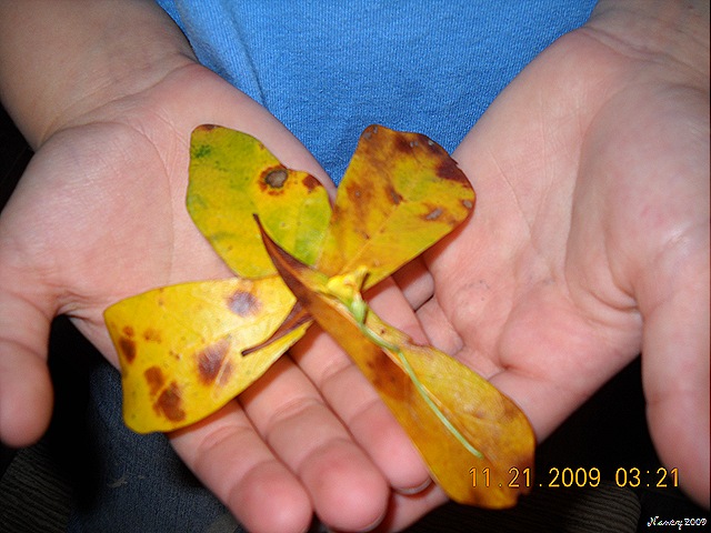 [November200911612.jpg]
