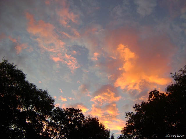 [October 2009 013[8].jpg]