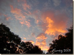 October 2009 013