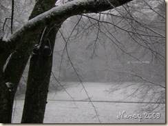March 2009 008