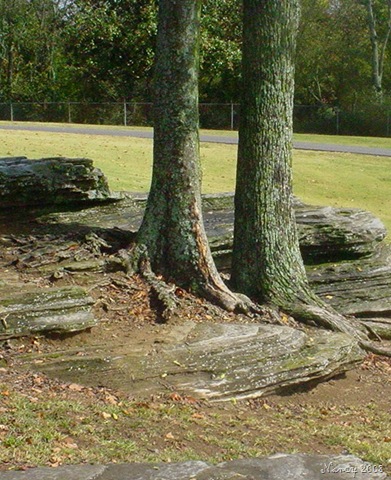 [october 2008 009[6].jpg]