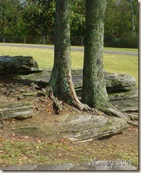 october 2008 009
