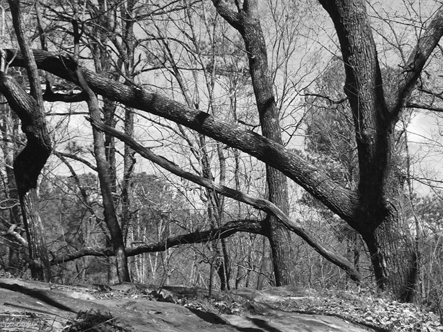 [March20081757.jpg]