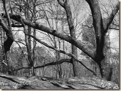 March 2008 175