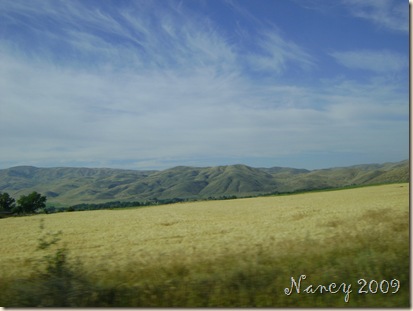 July 2009 022
