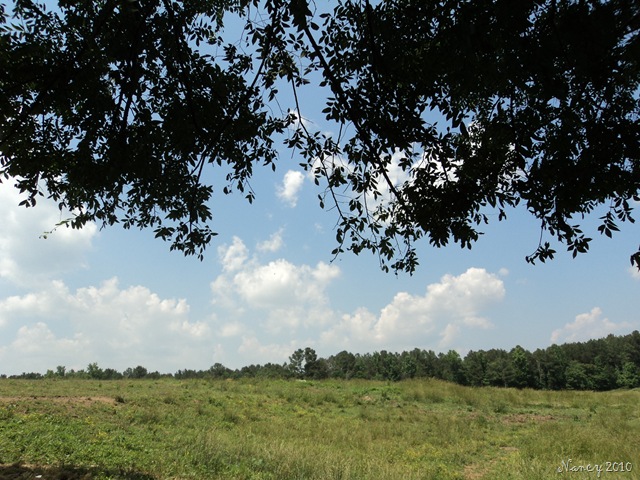 [May20100355.jpg]