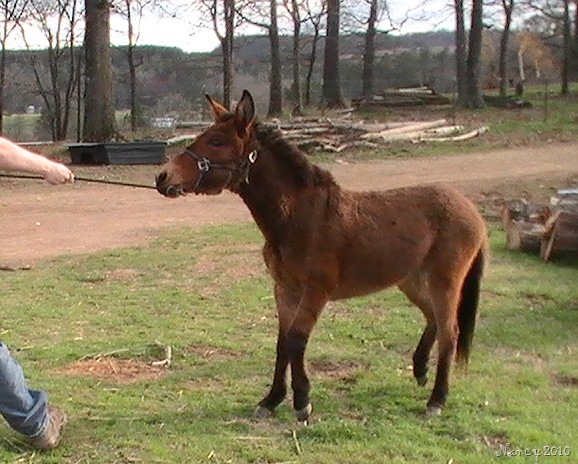 [March20100525.jpg]