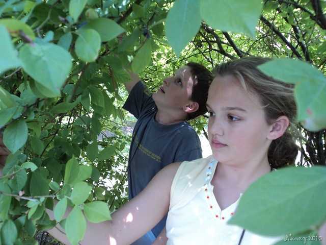 [June20100094.jpg]