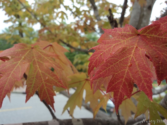 [August20100225.jpg]