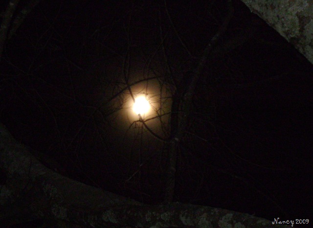 [February 2009 015[8].jpg]