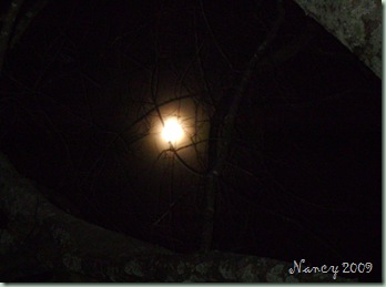 February 2009 015