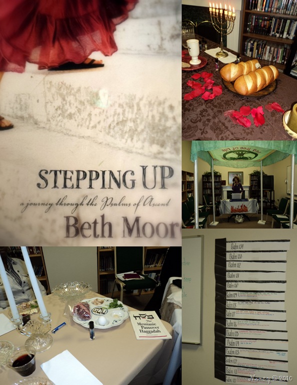 [stepping up collage[14].jpg]