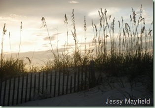 jessy beach