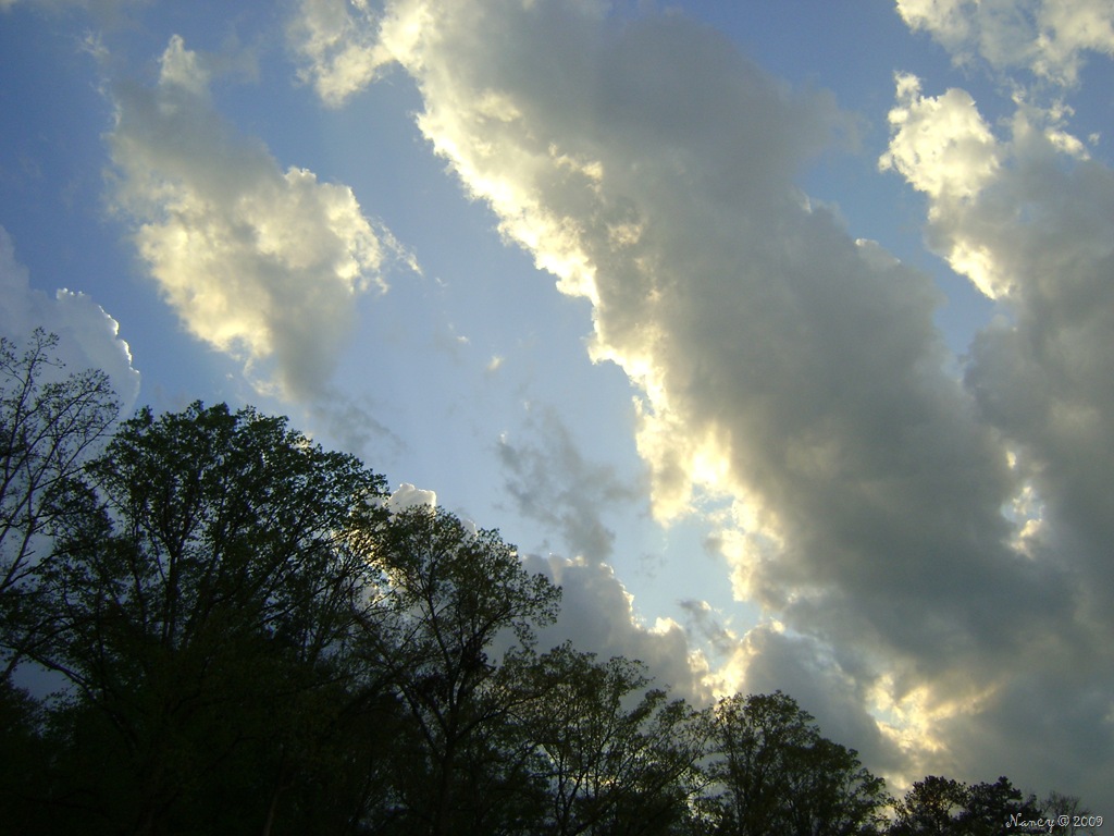 [March 2009 021[13].jpg]