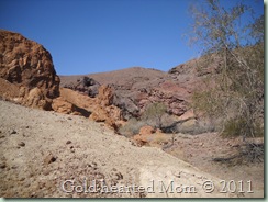Painted Desert1