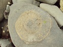 DSC03747 DSC03747