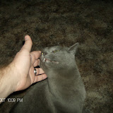 Giving the "broken love" to Ken.  He snorts and drools and is generally disgusting.