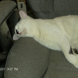 She sleeps in the strangest positions!