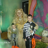 I loved the Lion!