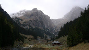 p1010792.jpg
