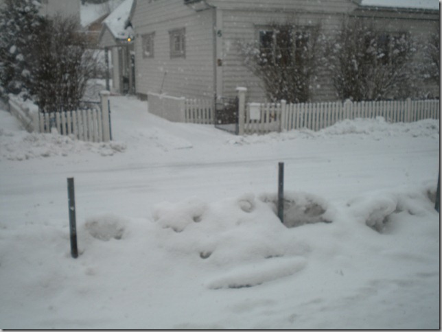 DSCN3091