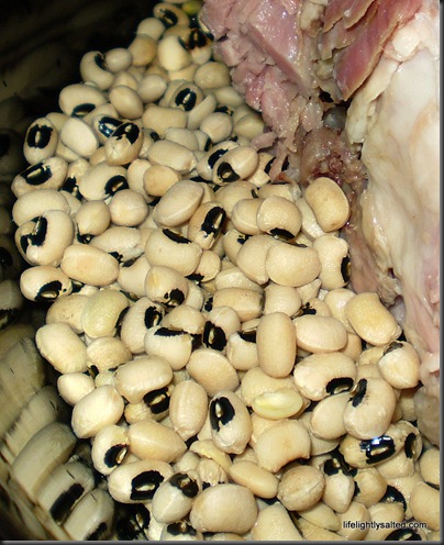 P9010001