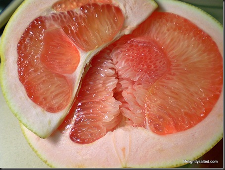 P9040012