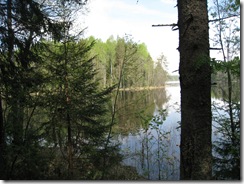 IMG_7498 IMG_7498
