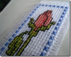 IMG_6916 IMG_6916