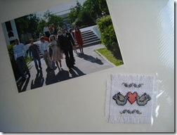 IMG_6924 IMG_6924