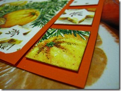 IMG_7902 IMG_7902